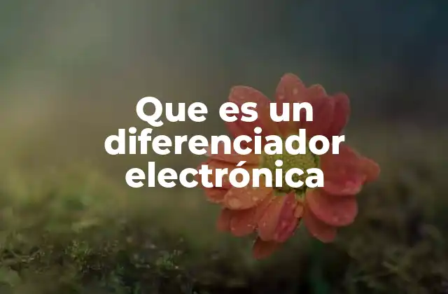 Que es un Diferenciador Electrónica