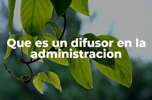 Que es un Difusor en la Administracion