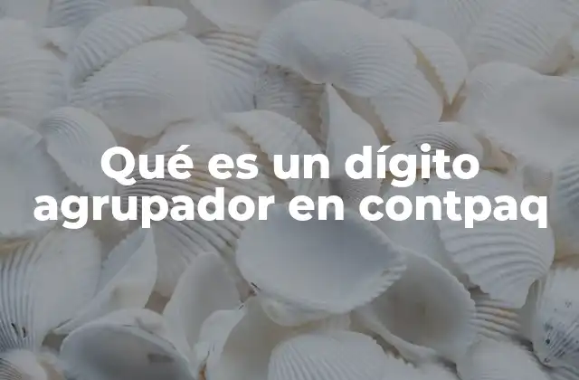 La importancia de la organización contable en Contpaq