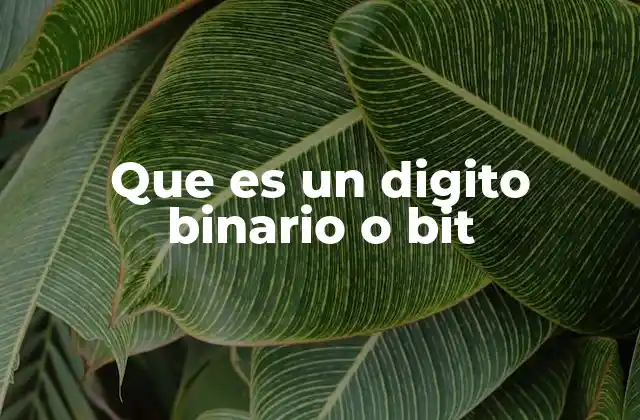 Que es un Digito Binario o Bit