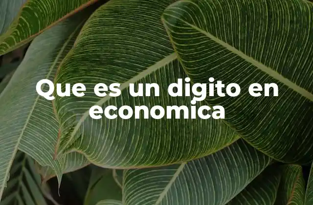Que es un Digito en Economica