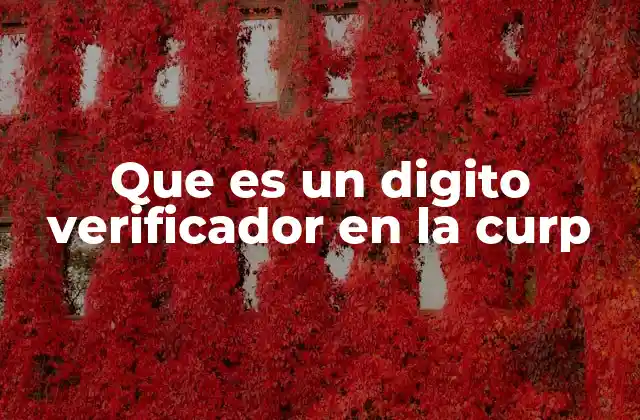 Que es un Digito Verificador en la Curp