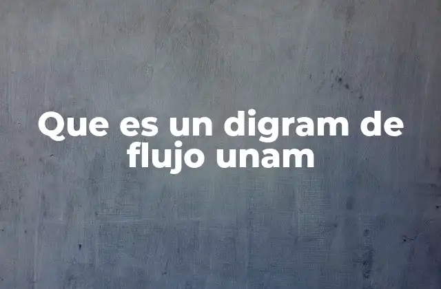 Que es un Digram de Flujo Unam