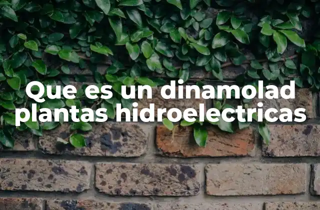 Que es un Dinamolad Plantas Hidroelectricas