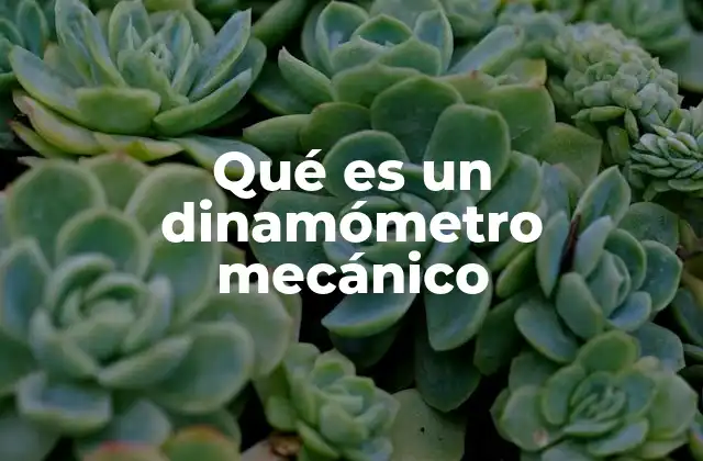 Qué es un Dinamómetro Mecánico