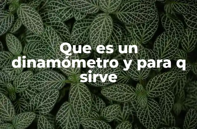 Que es un Dinamómetro y para Q Sirve