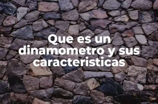 Que es un Dinamometro y Sus Caracteristicas