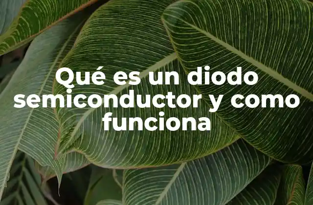 Qué es un Diodo Semiconductor y como Funciona
