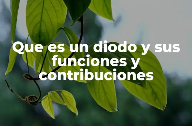 Que es un Diodo y Sus Funciones y Contribuciones 2 El papel fundamental del diodo en los circuitos electrónicos