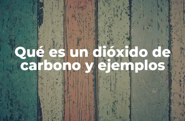 Qué es un Dióxido de Carbono y Ejemplos
