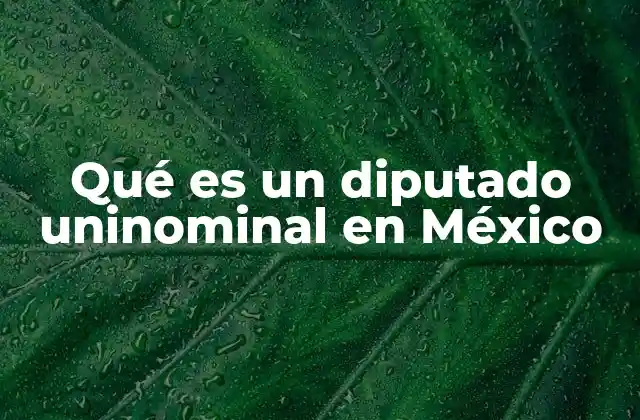 Qué es un Diputado Uninominal en México