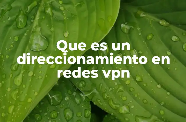 Que es un Direccionamiento en Redes Vpn