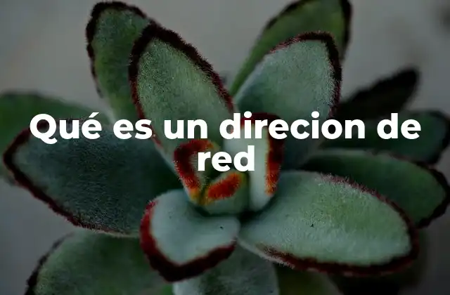 Qué es un Direcion de Red