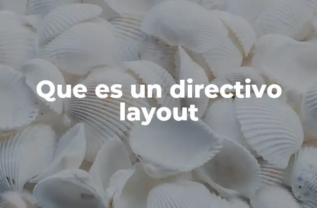 Que es un Directivo Layout