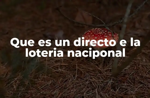 Que es un Directo e la Loteria Naciponal