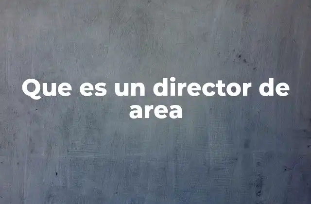 Que es un Director de Area