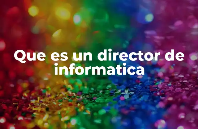 Que es un Director de Informatica