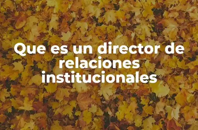 Que es un Director de Relaciones Institucionales