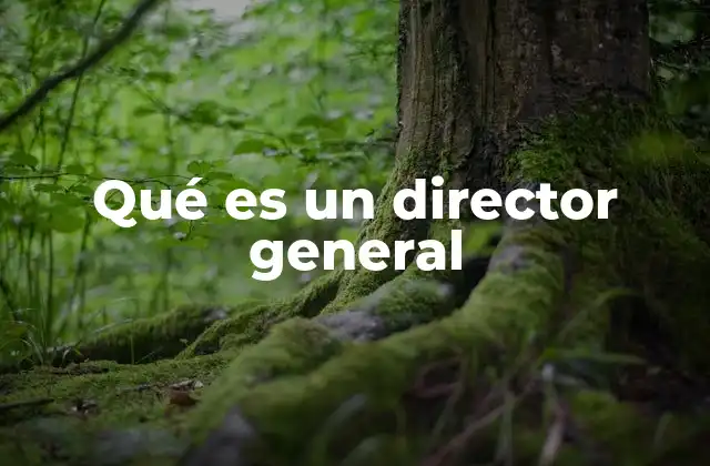Qué es un Director General 2 El rol del director general en la toma de decisiones estratégicas