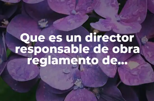 Que es un Director Responsable de Obra Reglamento de Construccion