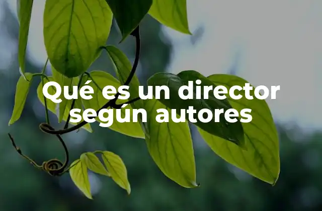 Qué es un Director según Autores