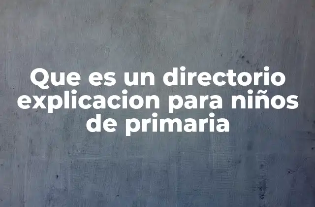 Que es un Directorio Explicacion para Niños de Primaria