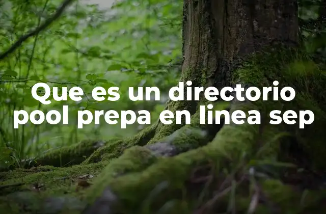 La importancia del directorio en el sistema educativo virtual