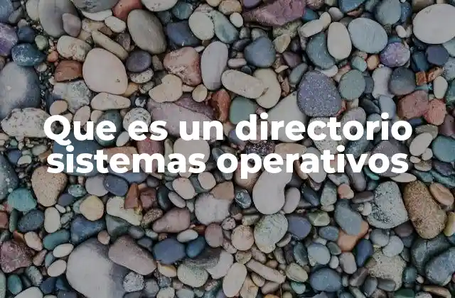 Que es un Directorio Sistemas Operativos
