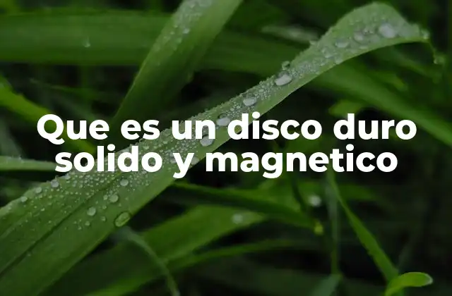 Que es un Disco Duro Solido y Magnetico