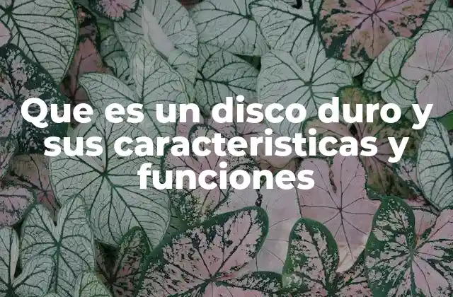 Que es un Disco Duro y Sus Caracteristicas y Funciones