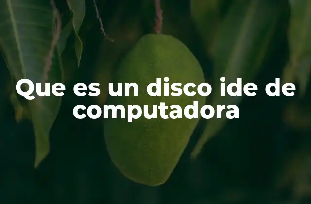 Que es un Disco Ide de Computadora