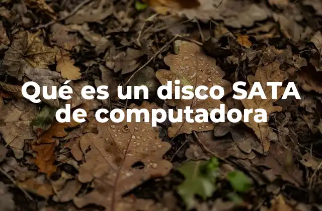 Qué es un Disco Sata de Computadora
