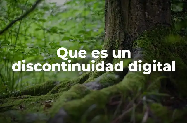 Que es un Discontinuidad Digital