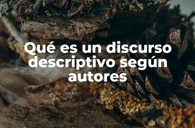 Qué es un Discurso Descriptivo según Autores