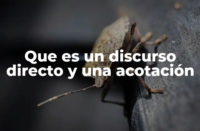 Que es un Discurso Directo y una Acotación