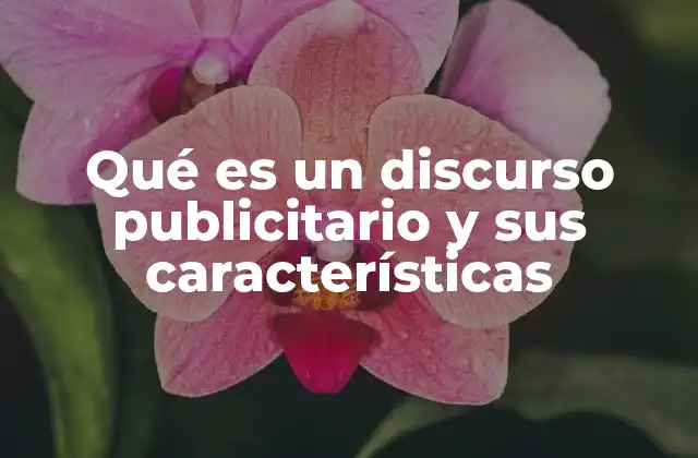 Qué es un Discurso Publicitario y Sus Características