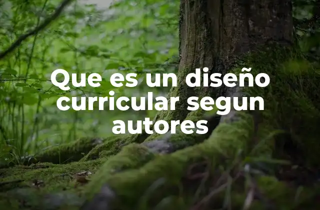 Que es un Diseño Curricular Segun Autores
