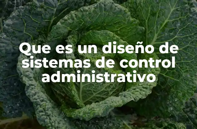 Que es un Diseño de Sistemas de Control Administrativo