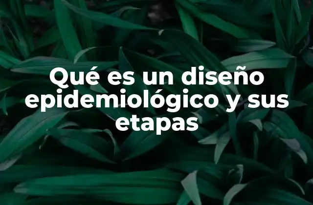 La importancia del diseño en la investigación de salud