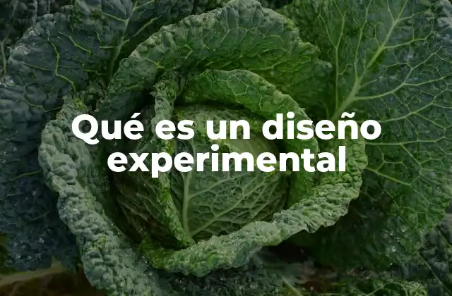 Qué es un Diseño Experimental