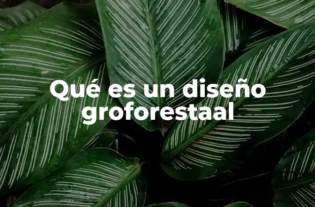 Qué es un Diseño Groforestaal