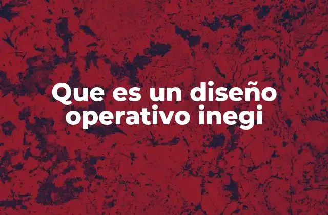 Que es un Diseño Operativo Inegi