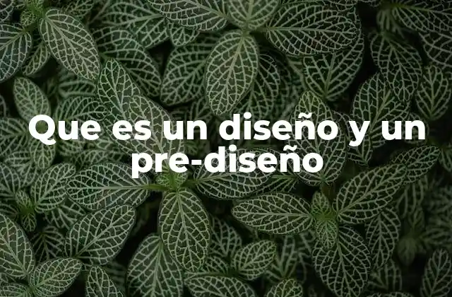 Que es un Diseño y un Pre-diseño