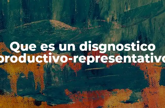 Que es un Disgnostico Productivo-representativo