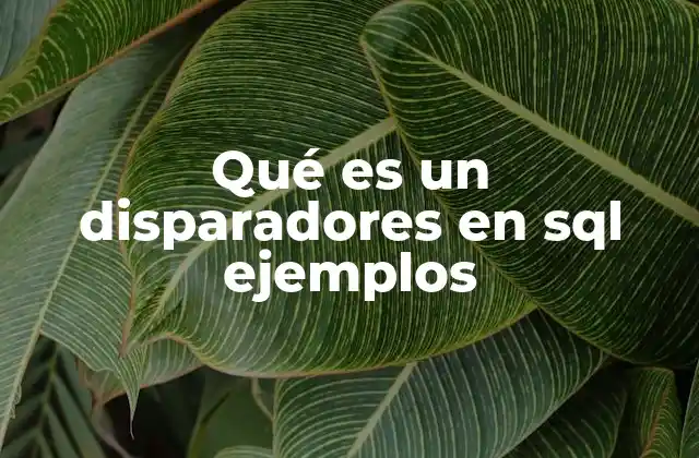 La importancia de los disparadores en la gestión de bases de datos