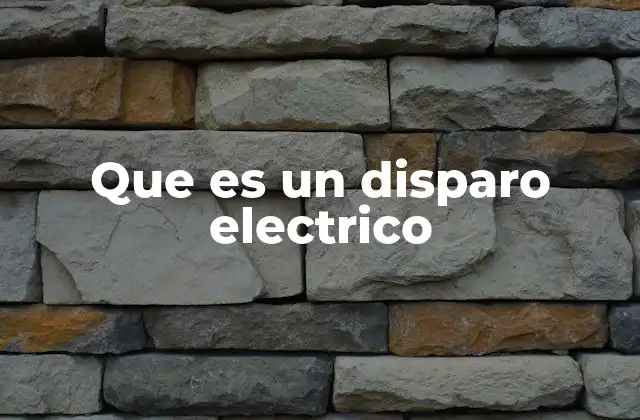 Que es un Disparo Electrico