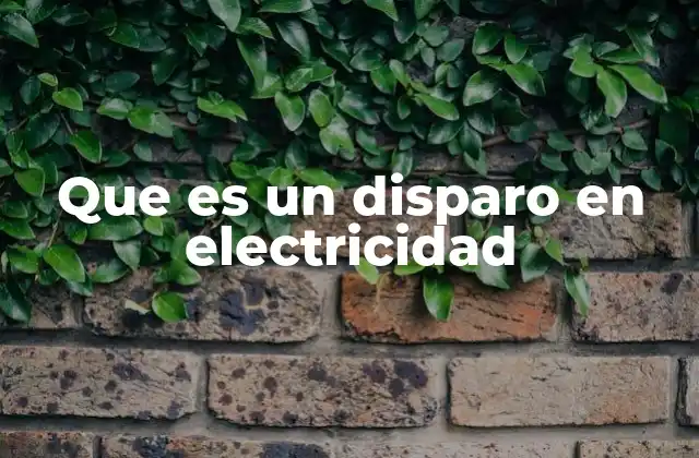 Que es un Disparo en Electricidad