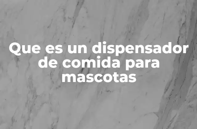 Que es un Dispensador de Comida para Mascotas 2 La importancia de contar con un sistema automatizado para alimentar a las mascotas