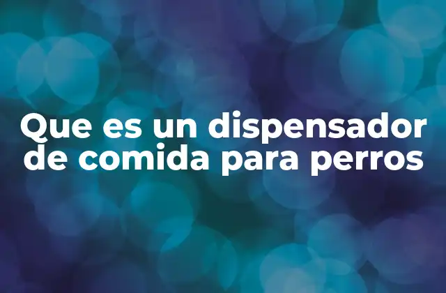 La importancia de mantener una rutina alimentaria en perros