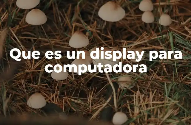 Que es un Display para Computadora